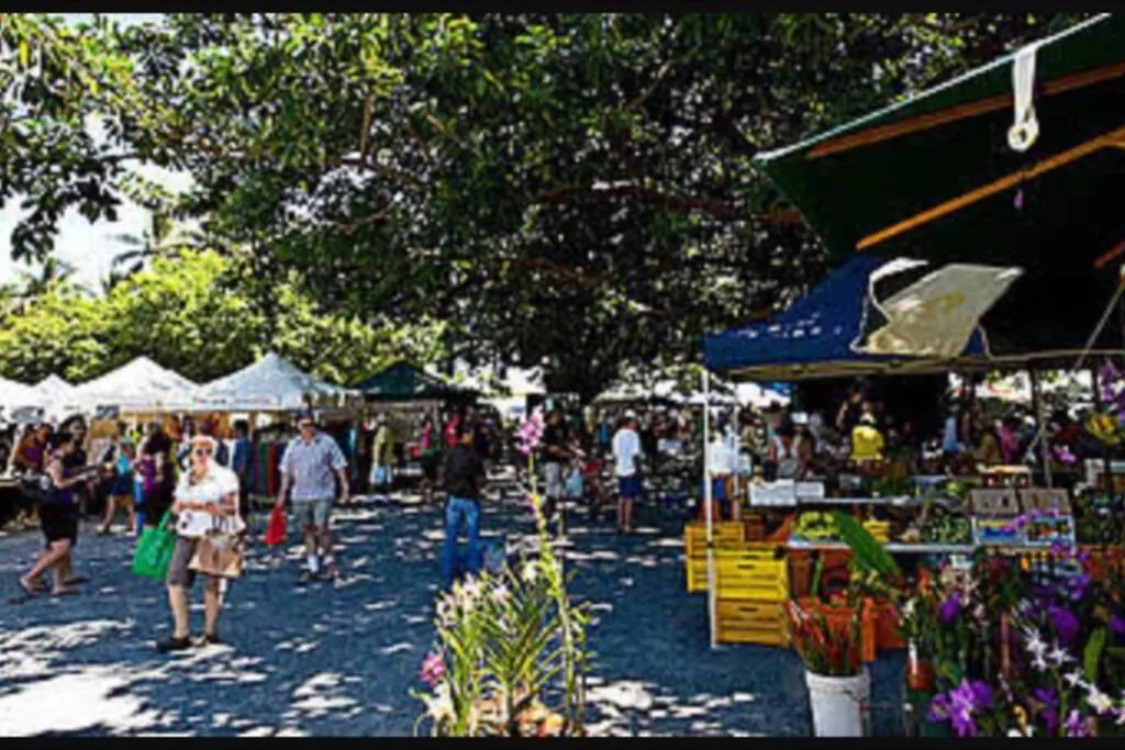 Tropical One Bedroom Apartment At The Mediterranean Port Douglas Australia
